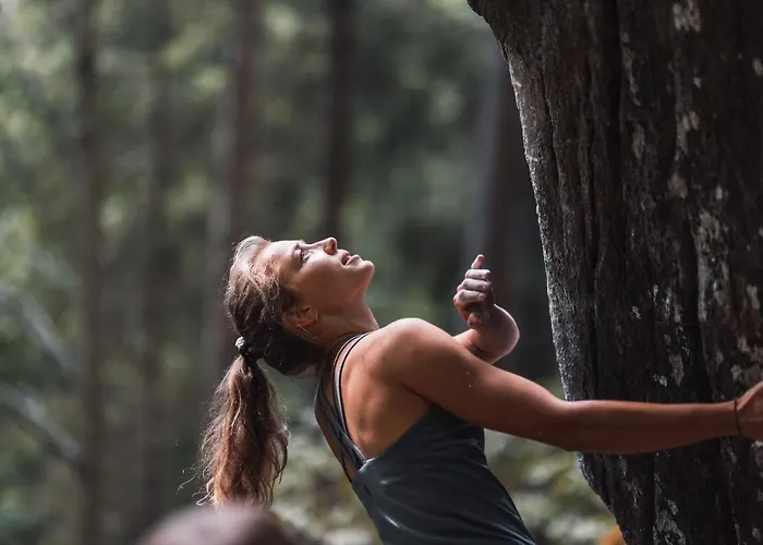 Pohorje House 2 Four Appartmetns