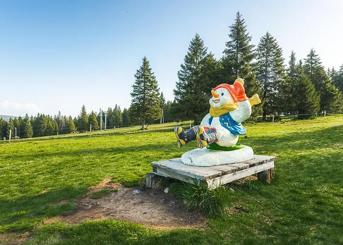 Pohorje House 2 Four Appartmetns * Oplotnica