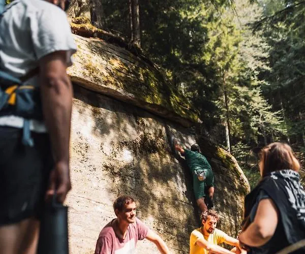 Pohorje House 2 Four Appartmetns * Oplotnica