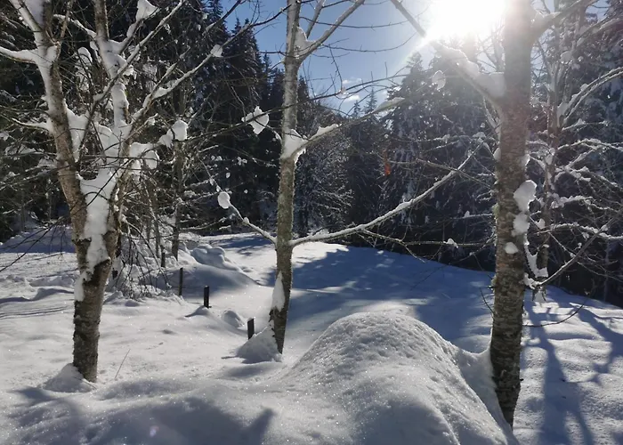 Pohorje House 2 Four Appartmetns דירה Oplotnica