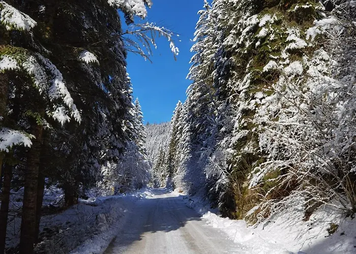 Pohorje House 2 Four Appartmetns