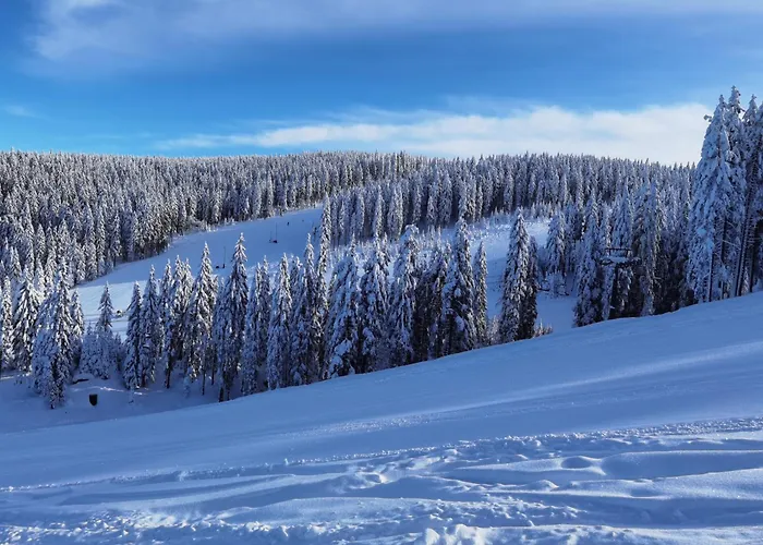 Pohorje House 2 Four Appartmetns アパート *