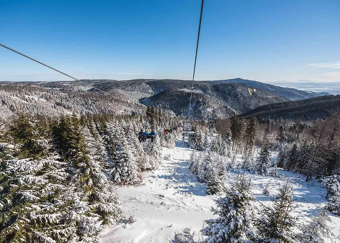 Pohorje House 2 Four Appartmetns アパート