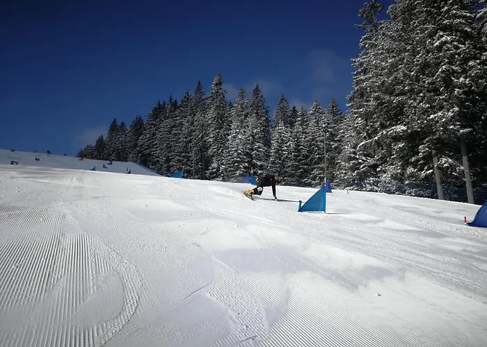 アパート Pohorje House 2 Four Appartmetns Oplotnica