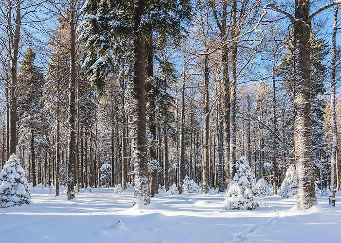 Pohorje House 2 Four Appartmetns Oplotnica