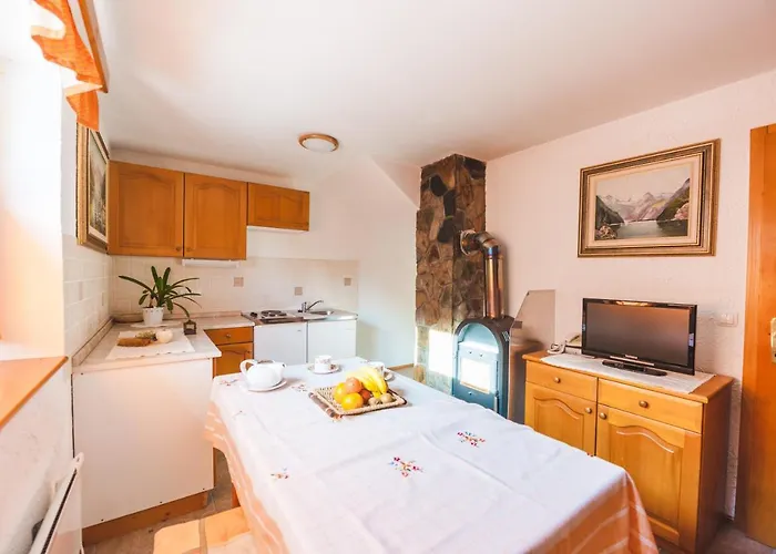 Pohorje House 2 Four Appartmetns * Oplotnica