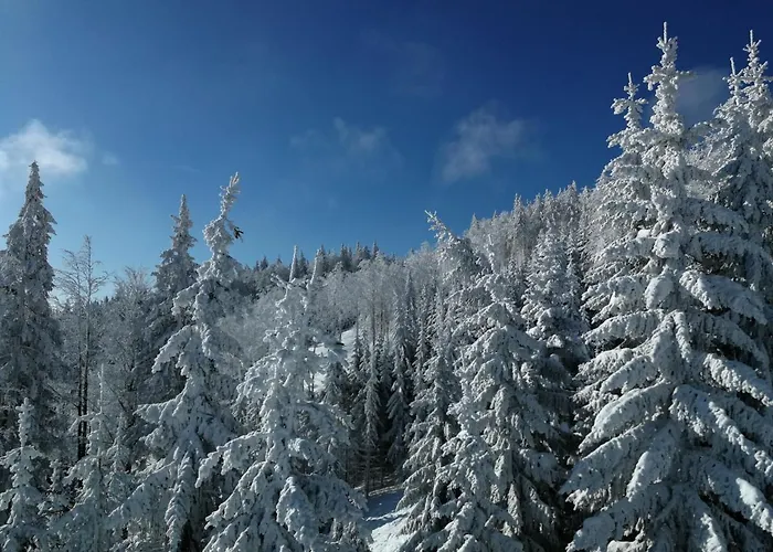 Pohorje House 2 Four Appartmetns アパート Oplotnica