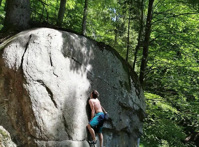 Pohorje House 2 Four Appartmetns アパート Oplotnica