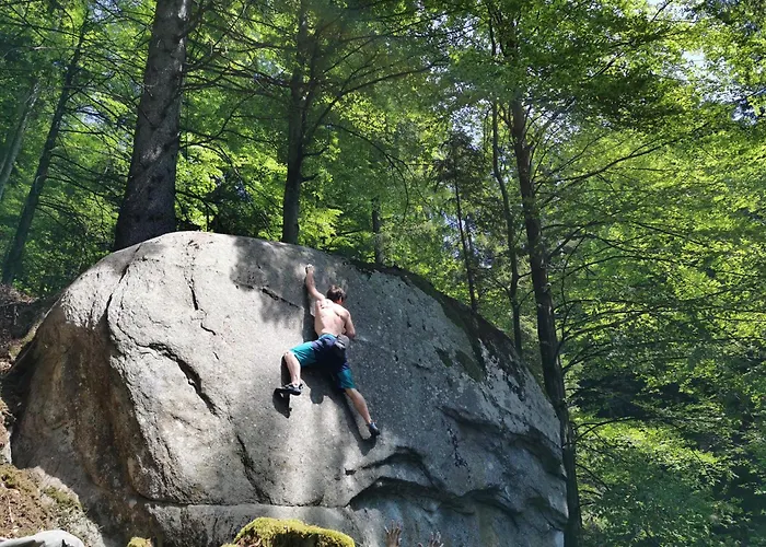 アパート Pohorje House 2 Four Appartmetns *