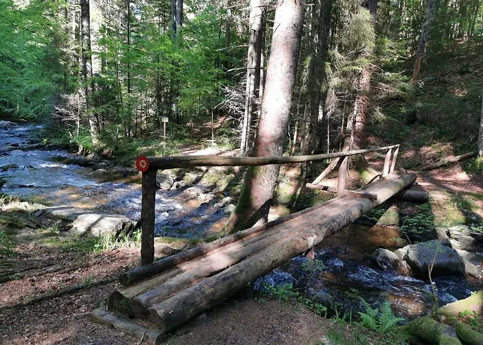 Pohorje House 2 Four Appartmetns *