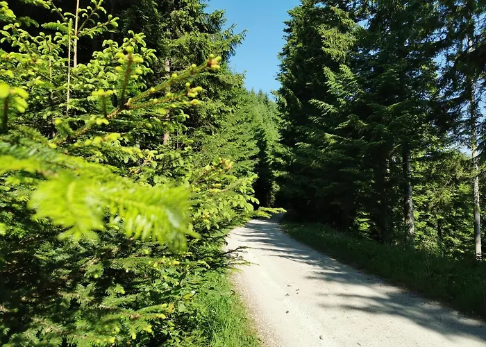 Pohorje House 2 Four Appartmetns