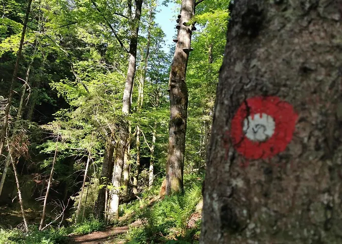 Pohorje House 2 Four Appartmetns