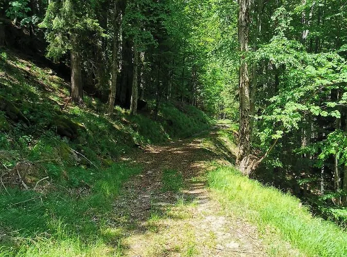 Pohorje House 2 Four Appartmetns * Oplotnica