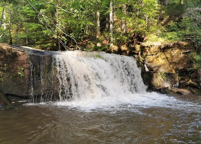 דירה Pohorje House 2 Four Appartmetns Oplotnica