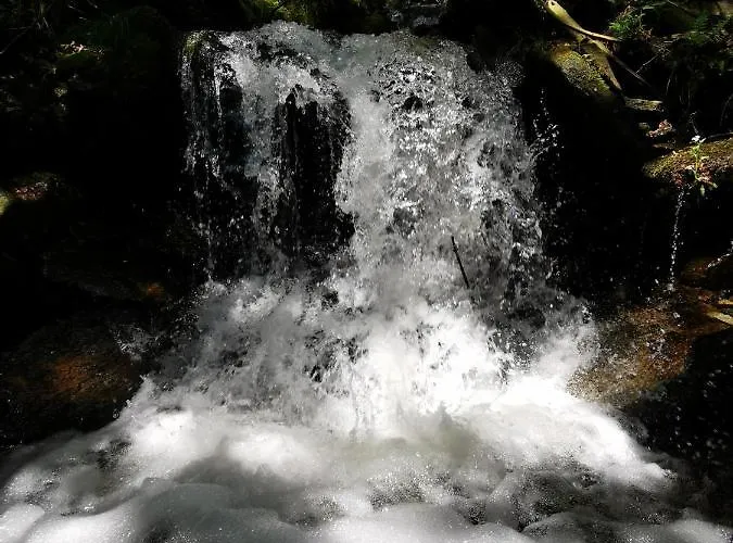 Pohorje House 2 Four Appartmetns *