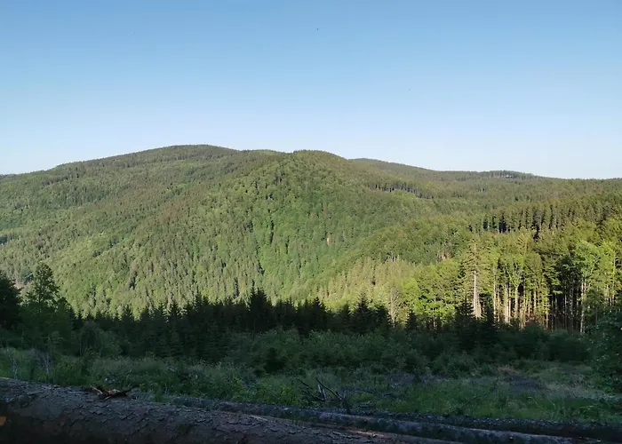 Pohorje House 2 Four Appartmetns